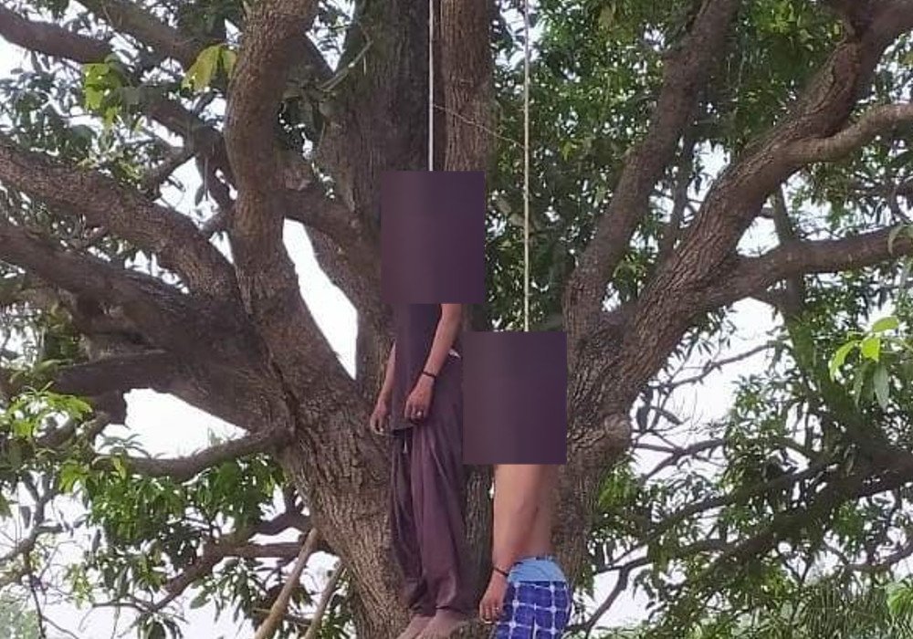 पेड़ पर दुप्पटे के सहारे लटका मिला प्रेमी-प्रेमिका का शव, मचा हड़कंप