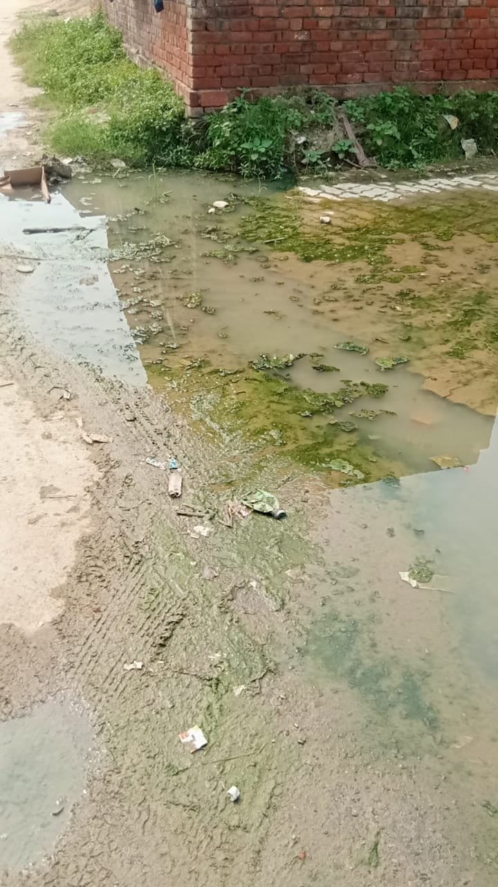 प्राइमरी पाठशाला पिपराव में इंटरलॉकिंग सड़क पर जल भराव कीचड़ से आवागमन बाधित ,स्कूली बच्चे अध्यापक परेशान