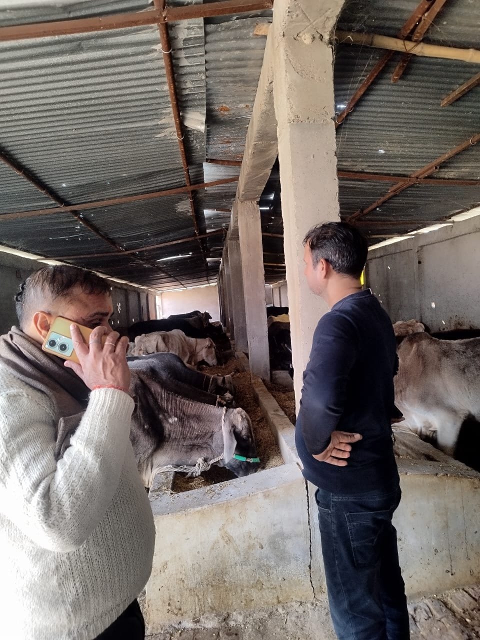 खंड विकास अधिकारी ने गौ संरक्षण केंद्रों का किया निरीक्षण